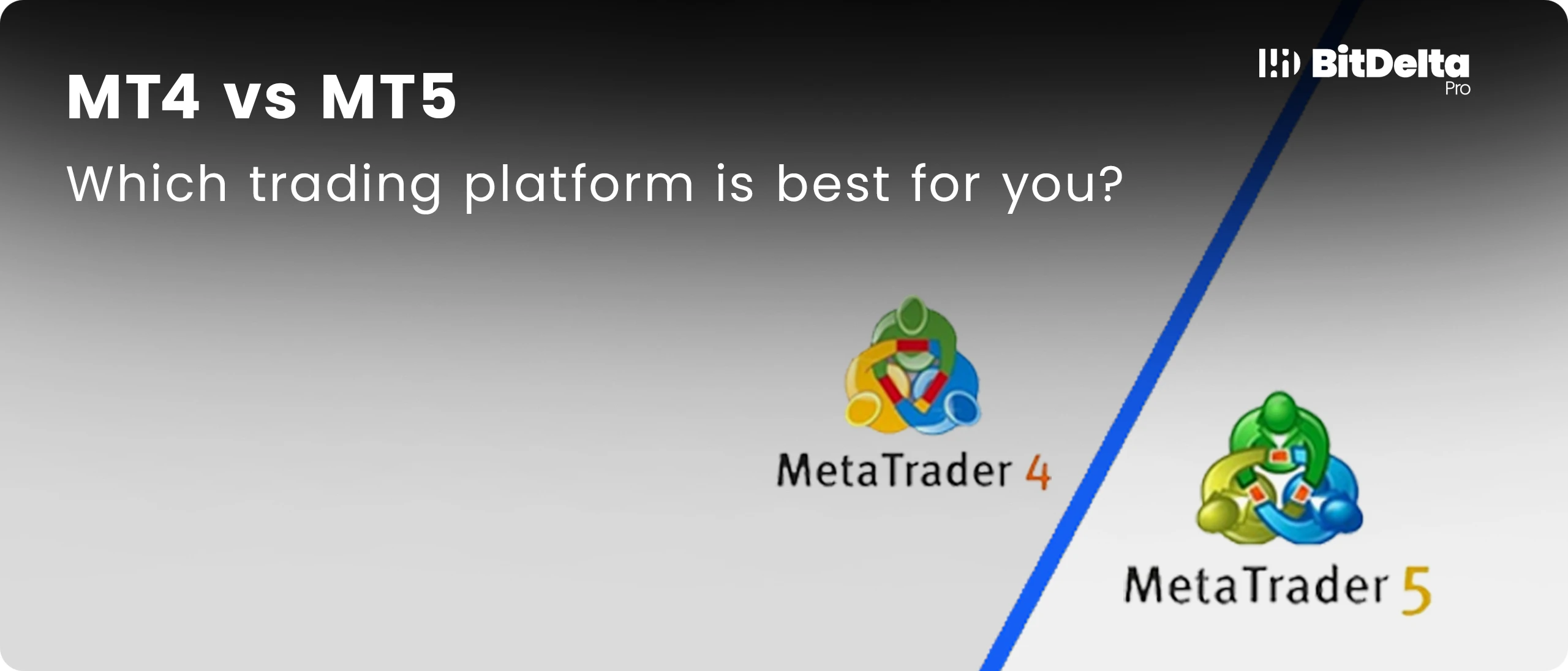 MT4 vs MT5: Which Trading Platform is Best for You?