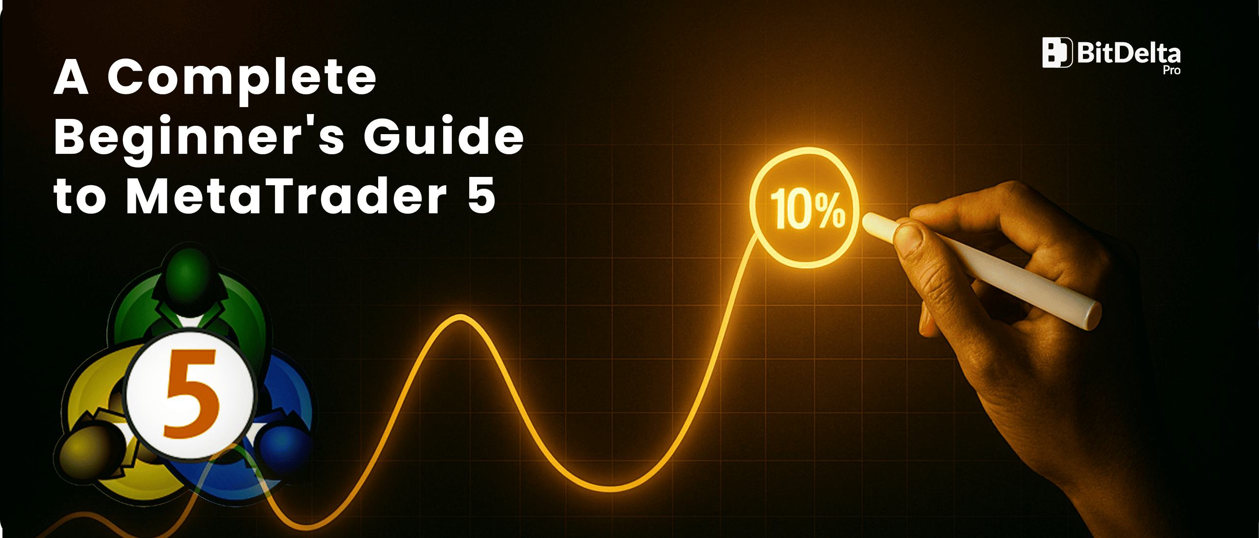 A Complete Beginner’s Guide to Start MetaTrader 5 Trading