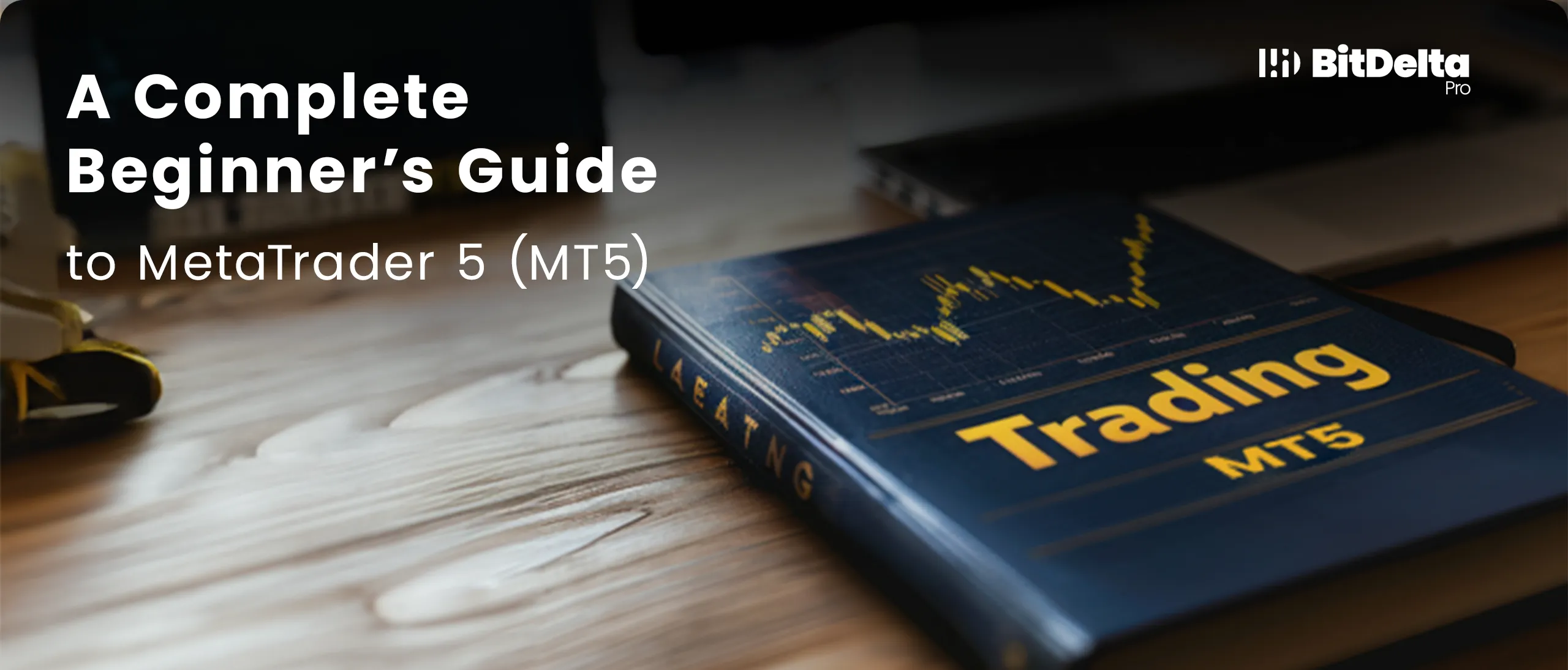 A Complete Beginner’s Guide to MetaTrader 5 (MT5)