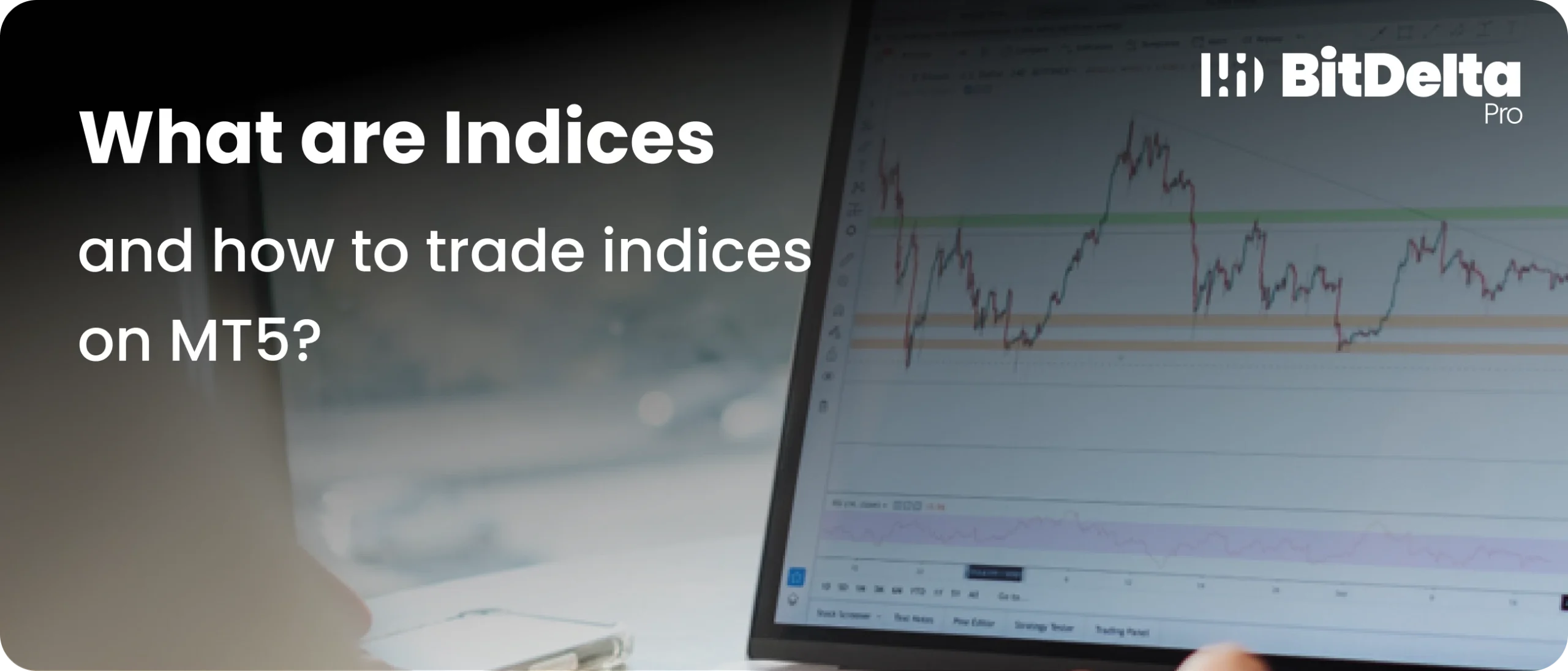 What are Indices and How to Trade Indices on MetaTrader 5?