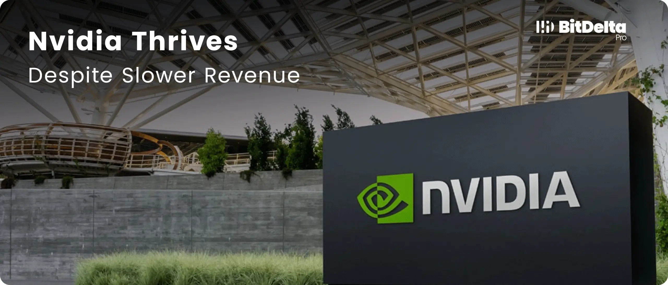 Nvidia’s Growth Remains Strong Despite Slower Revenue