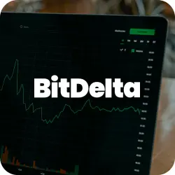 BitDelta Terminal