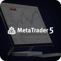 MetaTrader 5 Ultency